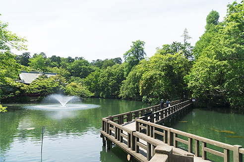 井の頭公園